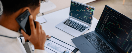 Software risk or renaissance?