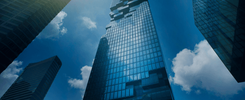 Unlocking Abundance Through High Standards 